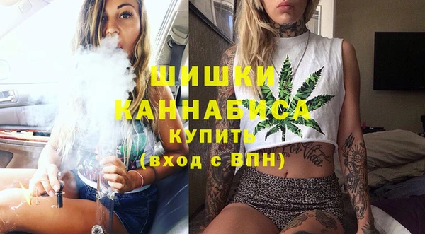 стафф Иннополис