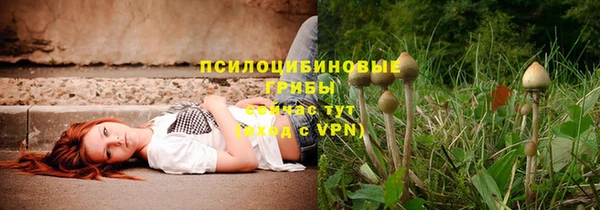 стафф Иннополис