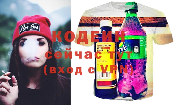 гашик Инта