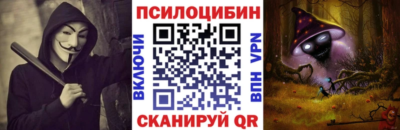 Галлюциногенные грибы GOLDEN TEACHER  купить наркотики сайты  Инта 